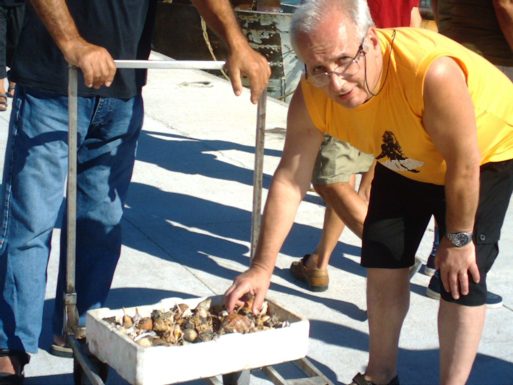 3 Conchigliari a Fiumicino