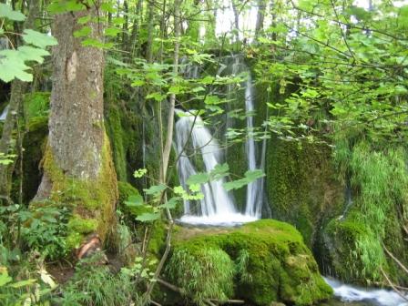 Parco Nazionale laghi di Plitvice (Croazia)