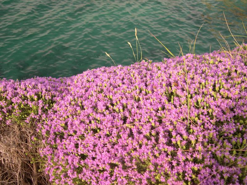 Otranto e dintorni