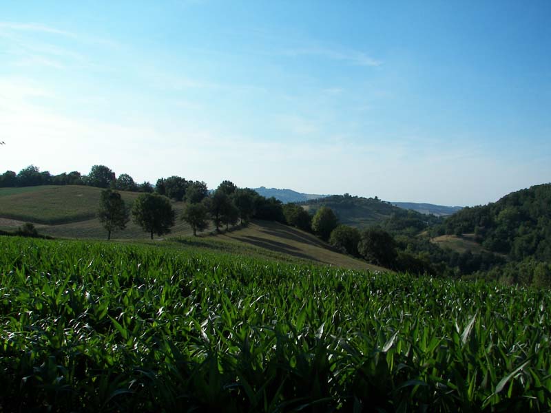 Sassi di Roccamalatina (MO)