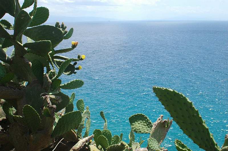 Capo Vaticano (VV)