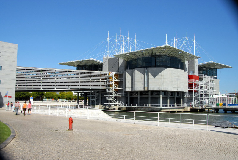 Portogallo- Oceanarium