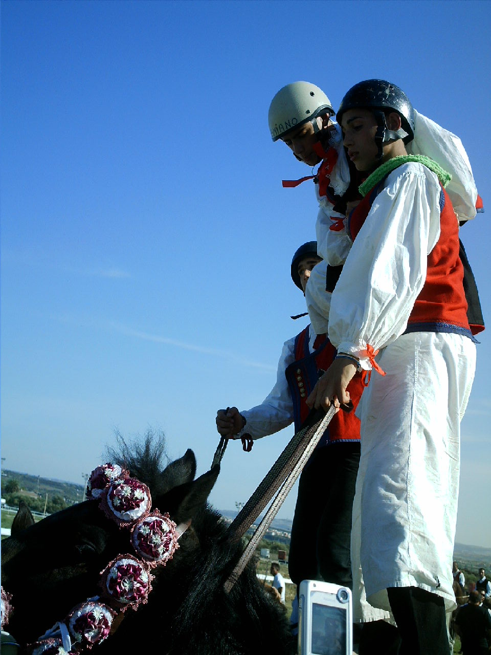 Dopo gatti e cani parliamo del Cavallo?