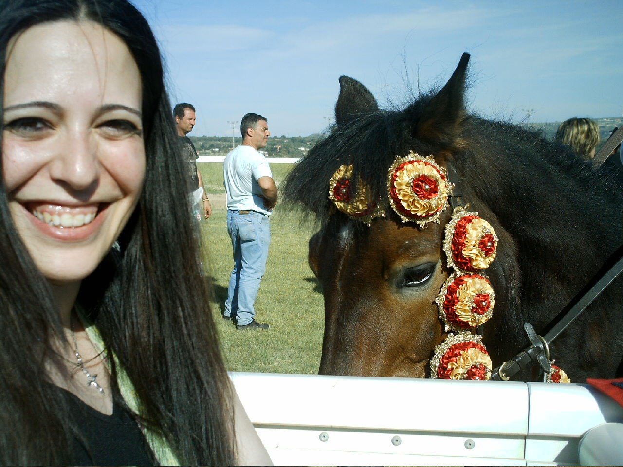 Dopo gatti e cani parliamo del Cavallo?