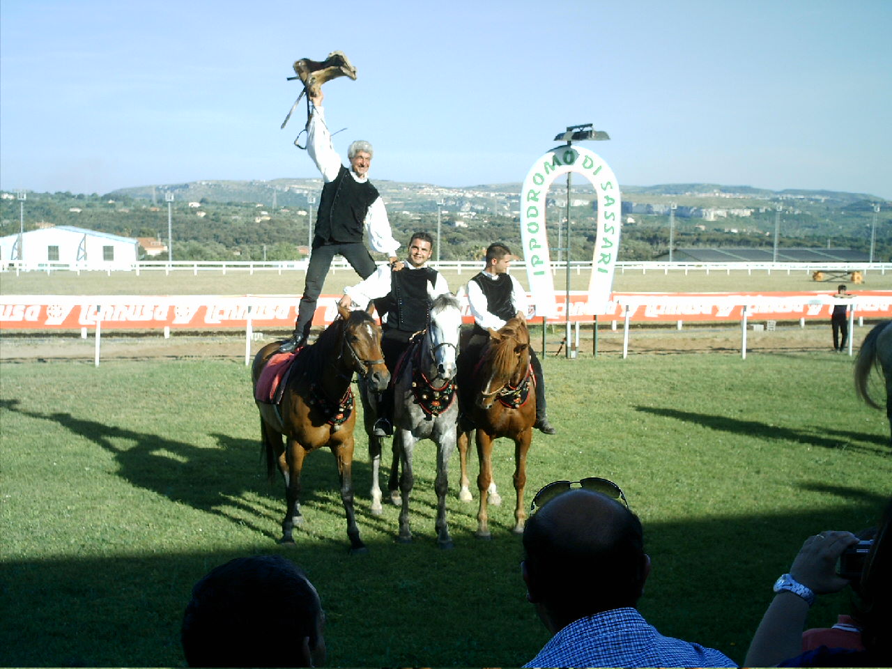 Dopo gatti e cani parliamo del Cavallo?