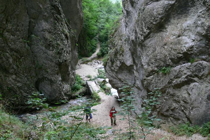 Viaggio fra l''Umbria & le Marche