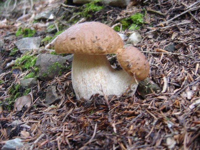 Escursione in Valle di Ledro (TN)