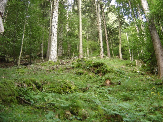 Escursione in Valle di Ledro (TN)