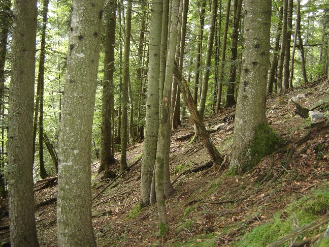 Escursione in Valle di Ledro (TN)