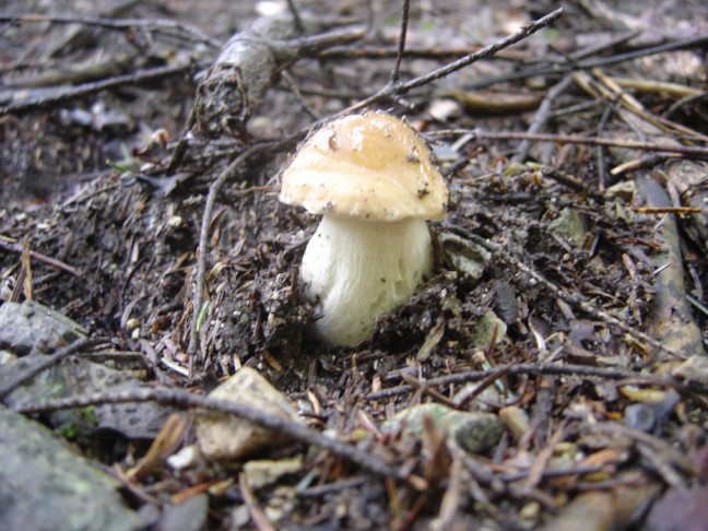 Escursione in Valle di Ledro (TN)