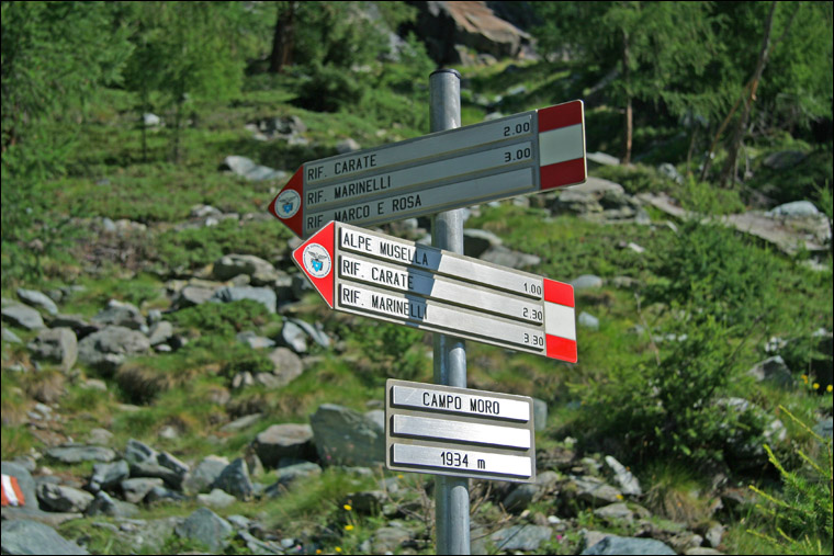 Bocchetta delle Forbici - Gruppo del Bernina