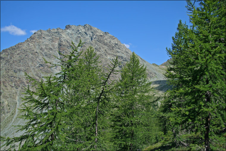 Bocchetta delle Forbici - Gruppo del Bernina