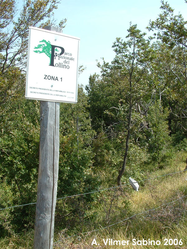 Tagli nel Parco Nazionale del Pollino