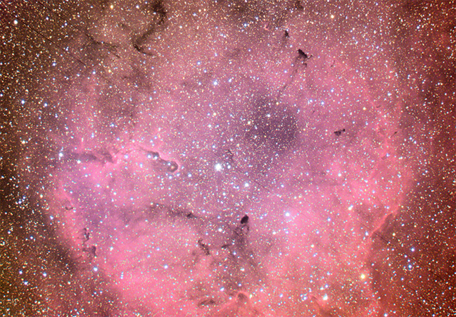 IC 1396 la proboscide dell''elefante nel cefeo