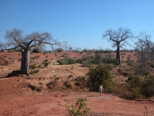 ZAMBIA . I Giganti