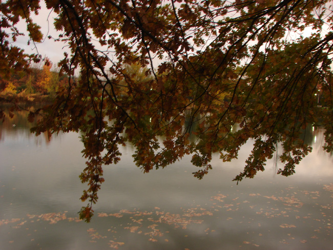 Autunno ad Agliana