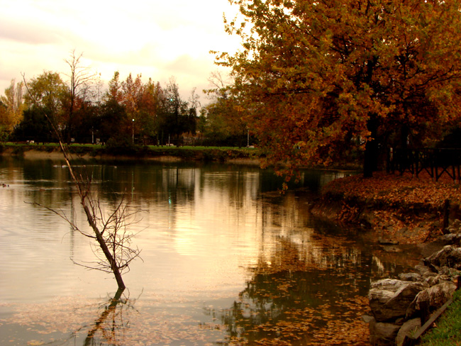 Autunno ad Agliana