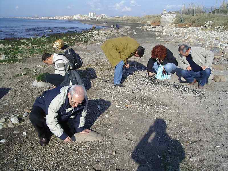 passeggiate malacologiche 2