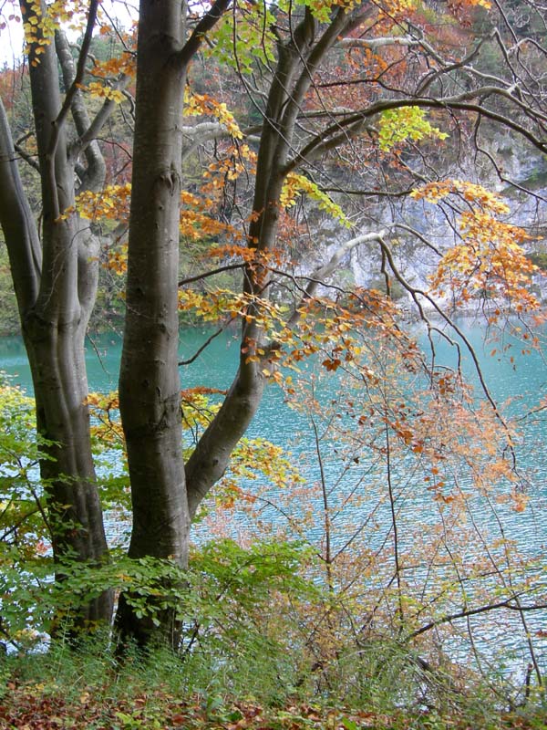 Laghi.......del TRENTINO