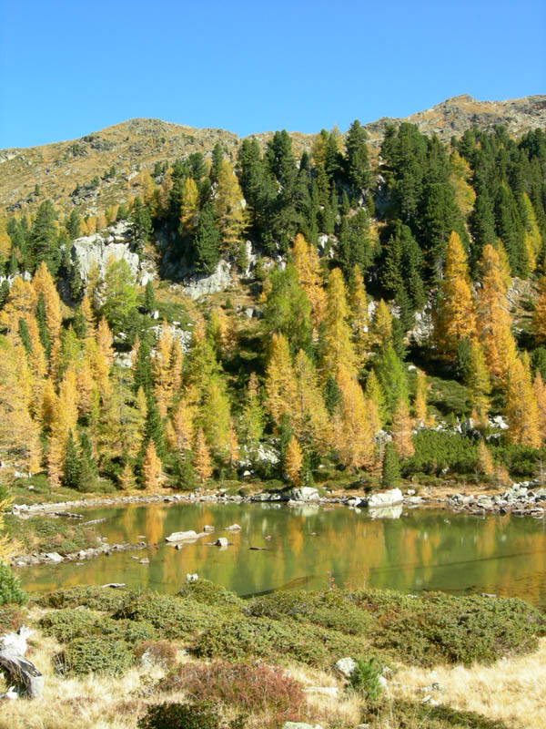 Laghi.......del TRENTINO