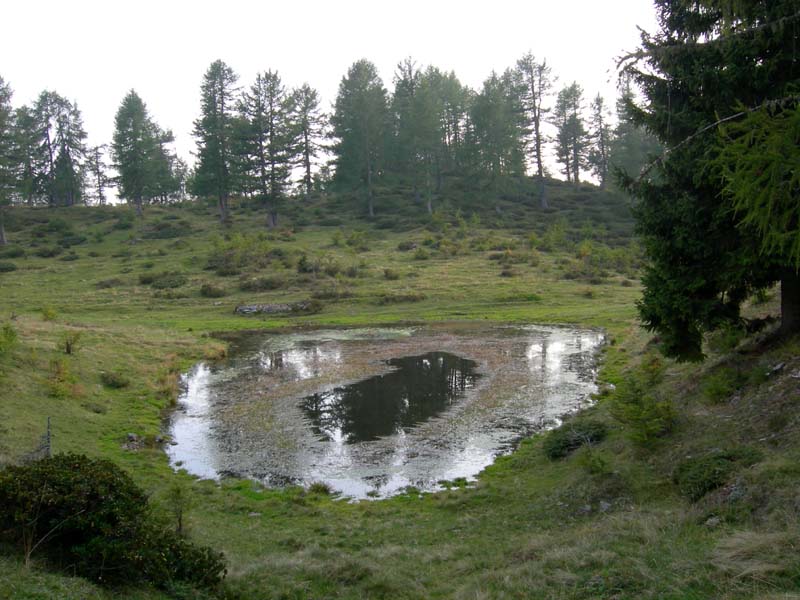 Laghi.......del TRENTINO