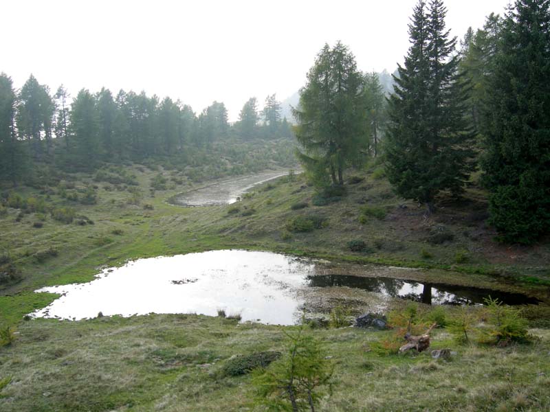 Laghi.......del TRENTINO