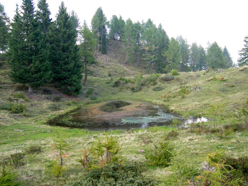 Laghi.......del TRENTINO