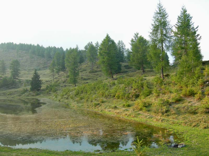 Laghi.......del TRENTINO