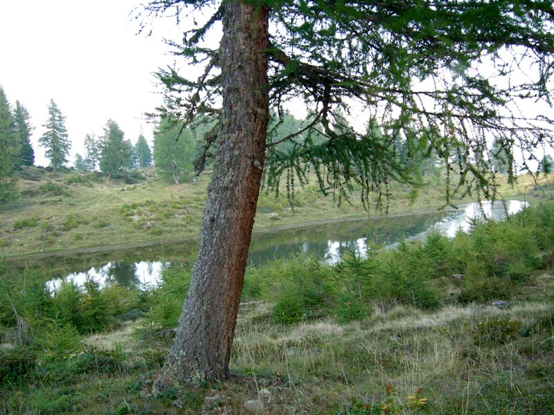 Laghi.......del TRENTINO