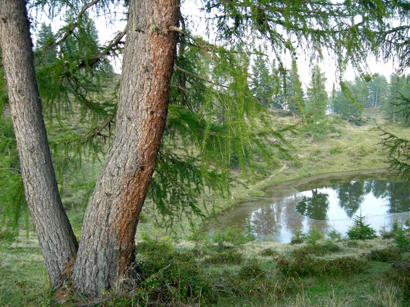 Laghi.......del TRENTINO