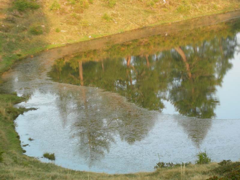 Laghi.......del TRENTINO