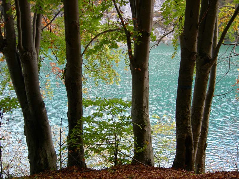 Laghi.......del TRENTINO