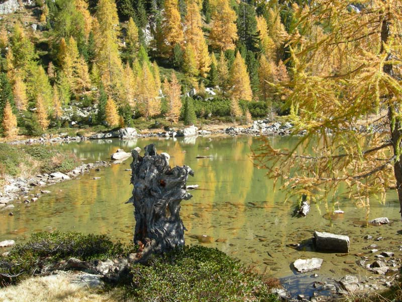 Laghi.......del TRENTINO