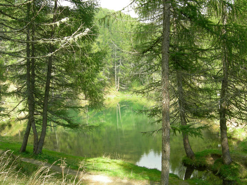 Laghi.......del TRENTINO