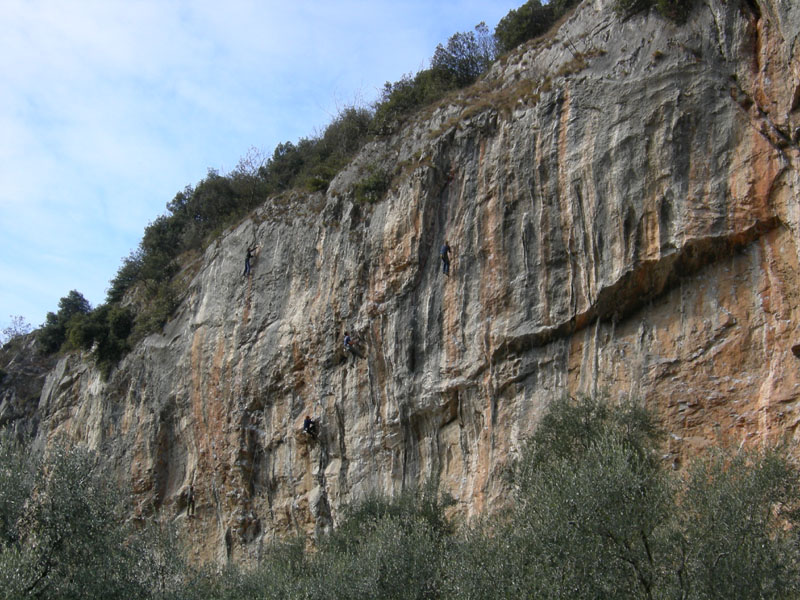 Percorso storico-naturalistico......Bosco Caproni