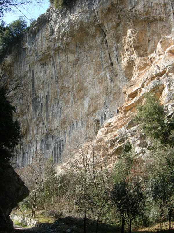 Percorso storico-naturalistico......Bosco Caproni