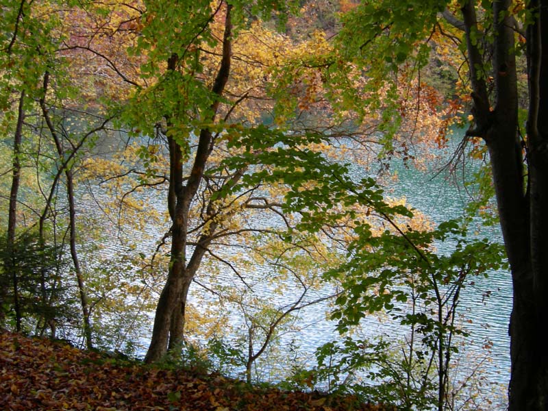 Laghi.......del TRENTINO