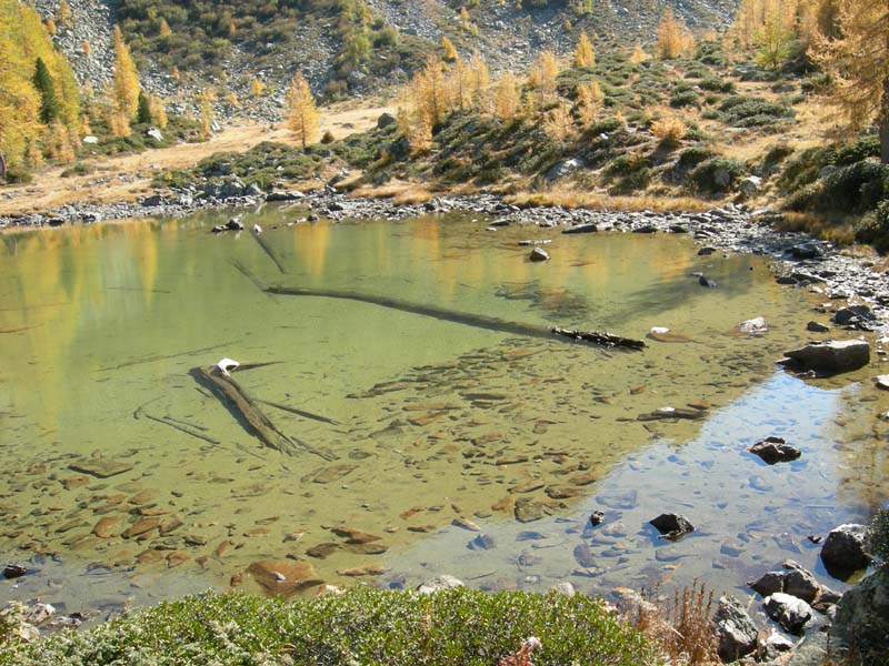 Laghi.......del TRENTINO