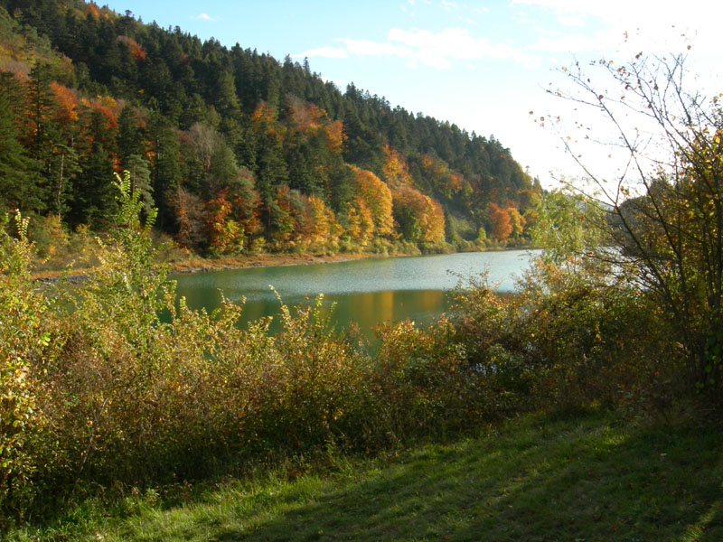 Laghi.......del TRENTINO