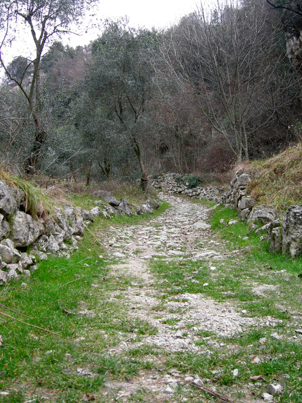 Percorso storico-naturalistico......Bosco Caproni