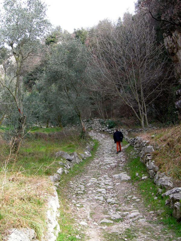 Percorso storico-naturalistico......Bosco Caproni