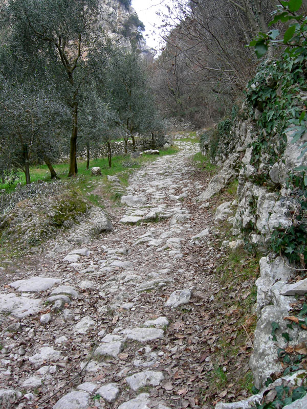 Percorso storico-naturalistico......Bosco Caproni