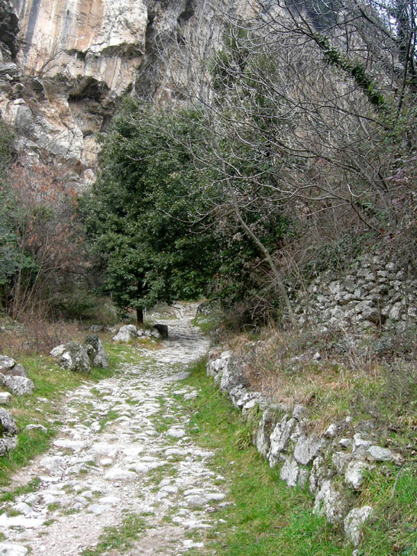 Percorso storico-naturalistico......Bosco Caproni