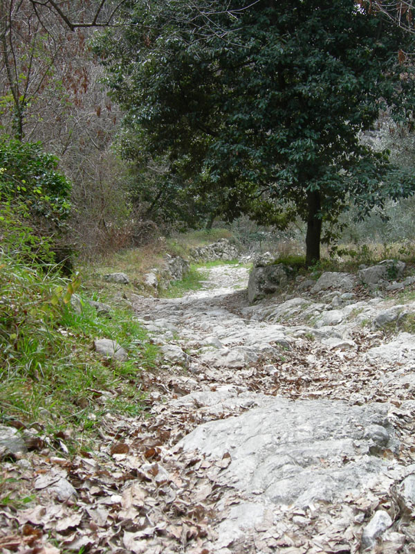 Percorso storico-naturalistico......Bosco Caproni