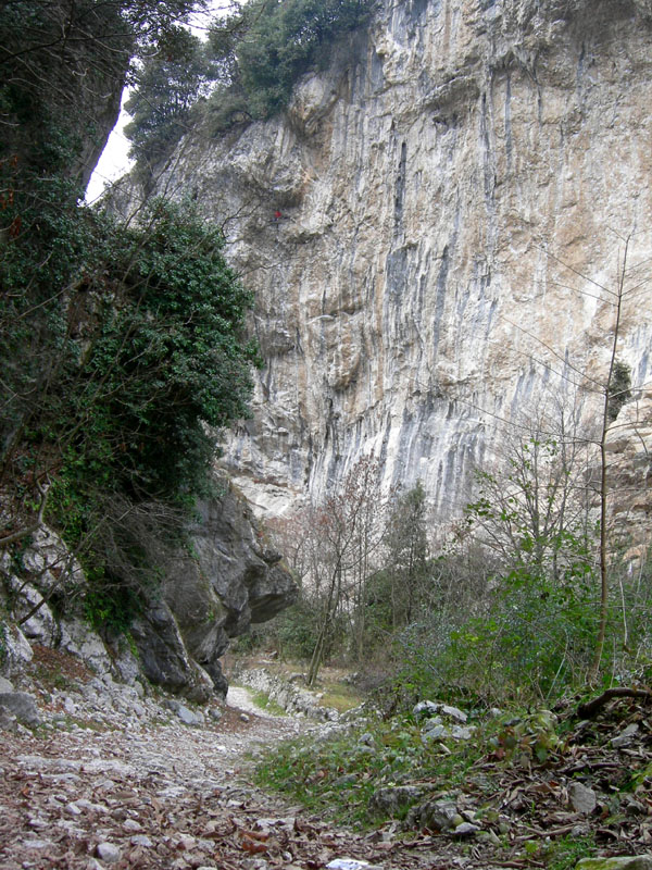 Percorso storico-naturalistico......Bosco Caproni