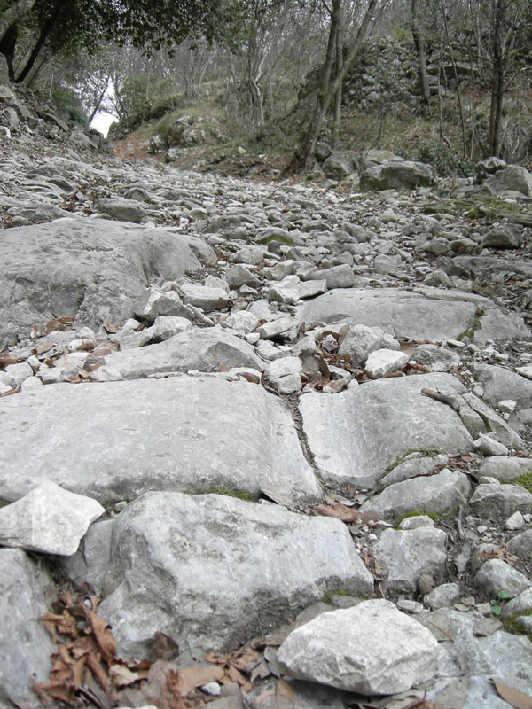 Percorso storico-naturalistico......Bosco Caproni