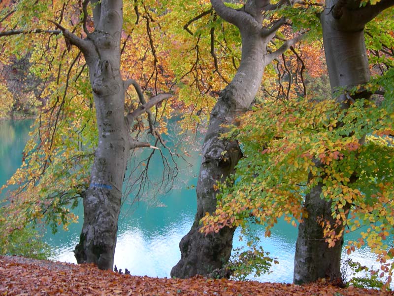 Laghi.......del TRENTINO