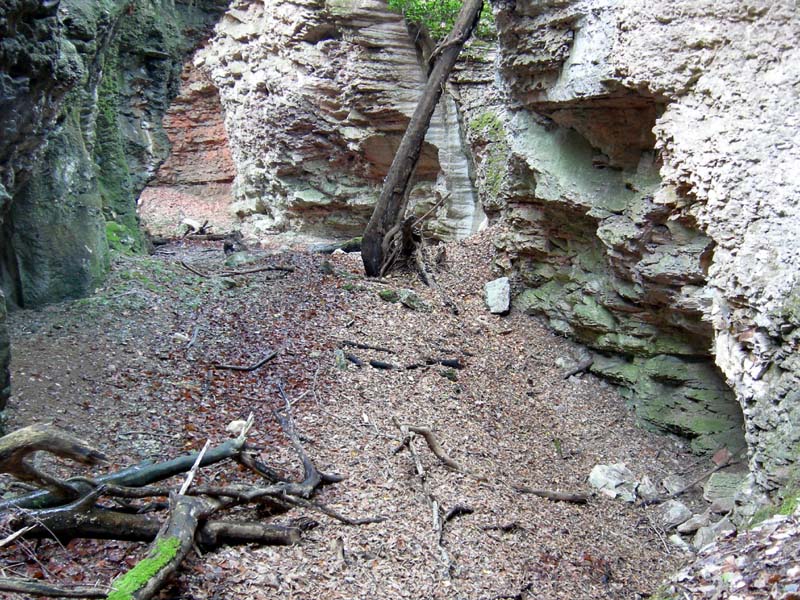 Per funghi...nella valle dell''Orco.