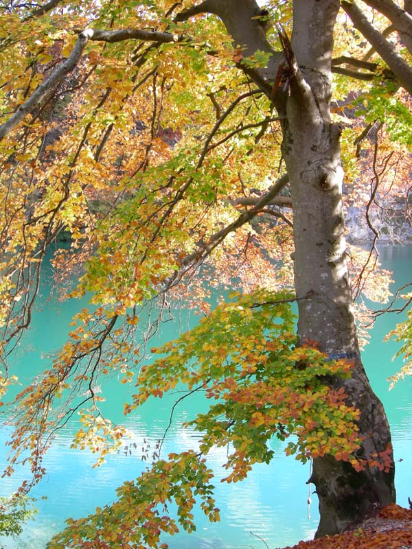 Laghi.......del TRENTINO