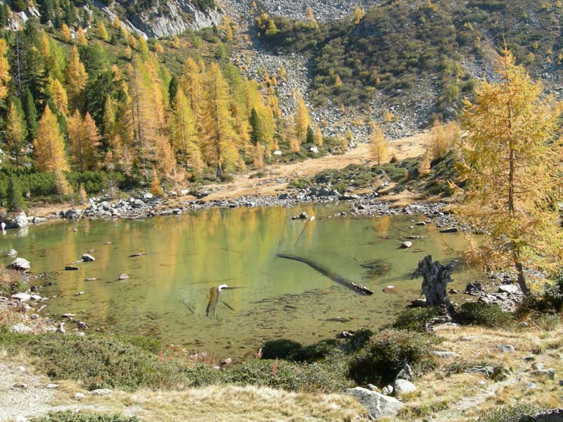 Laghi.......del TRENTINO